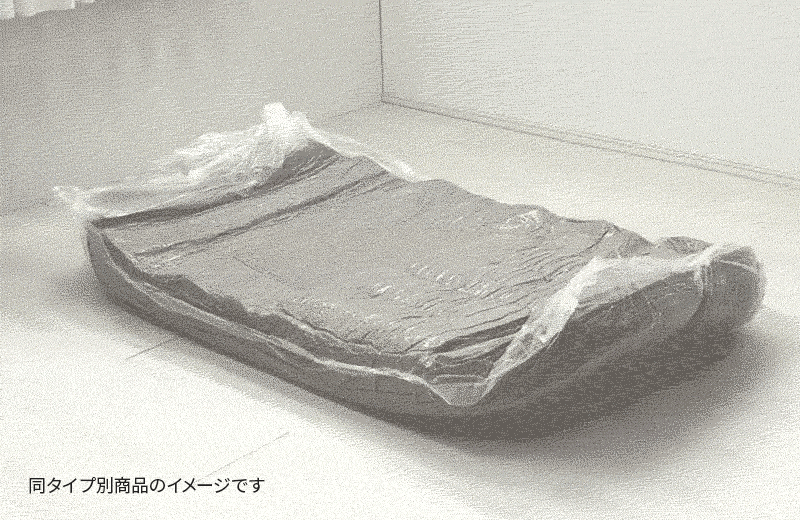 【新商品】[幅170] 2WAYソファベッド 2人掛け クッション付き ローソファ 完成品 Lemaire