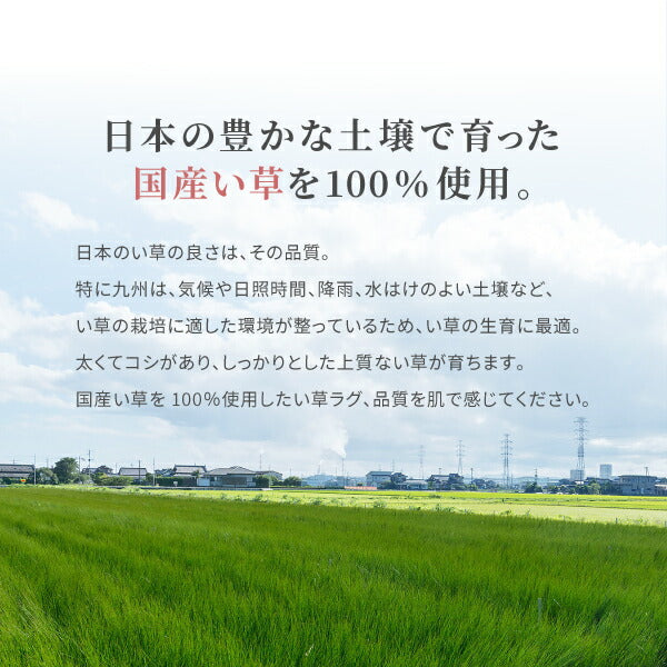 国産 い草ラグ 吉兆【裏貼り】 約191×250cm【約3畳】本間3帖 滑り止め加工 抗菌 防臭ござ い草カーペット ラグマット センターラグ アクセントラグ おしゃれ 井草 年中 萩原 春夏秋冬 涼しい ひんやり