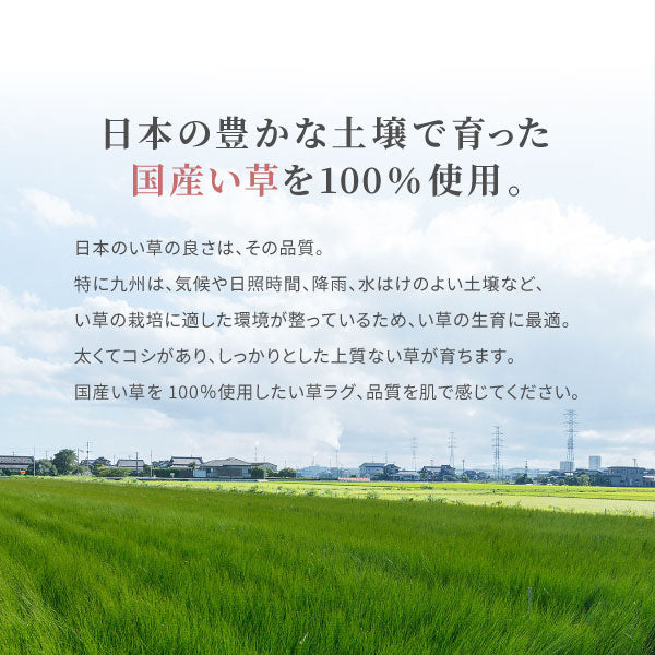 国産 い草ラグ 築彩 【裏貼り】約261×261cm【江戸間4.5畳】4.5帖 4畳半 抗菌 防臭 上敷き ござ い草カーペット ラグマット センターラグ アクセントラグ おしゃれ 井草 年中 萩原 春夏秋冬 涼しい ひんやり