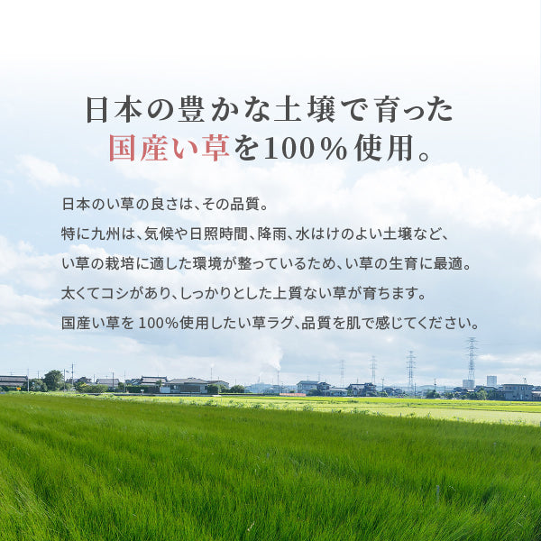 国産 い草ラグ イデア【裏貼り】 191×250cm【3畳】本間3帖 滑り止め加工 抗菌 防臭ござ い草カーペット ラグマット センターラグ アクセントラグ おしゃれ 井草 年中 春夏秋冬 涼しい ひんやり