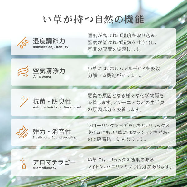 国産 い草ラグ イデア 【裏貼り】約261×261cm【江戸間4.5畳】4.5帖 4畳半 抗菌 防臭 上敷き ござ い草カーペット ラグマット センターラグ アクセントラグ おしゃれ 井草 年中 萩原 春夏秋冬 涼しい ひんやり