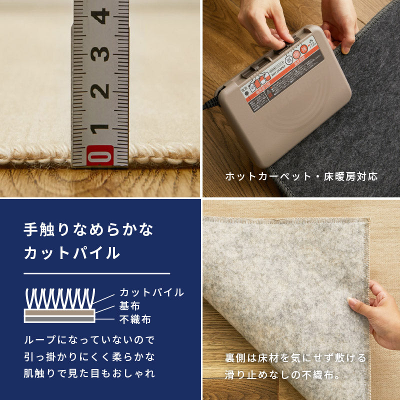 お医者さんがすすめる 抗菌プラチナ加工のカーペット 88×176cm〜【江戸