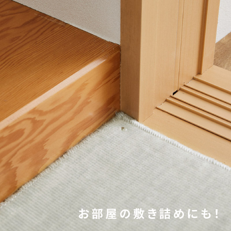 お医者さんがすすめる 抗菌プラチナ加工のカーペット 88×176cm〜【江戸