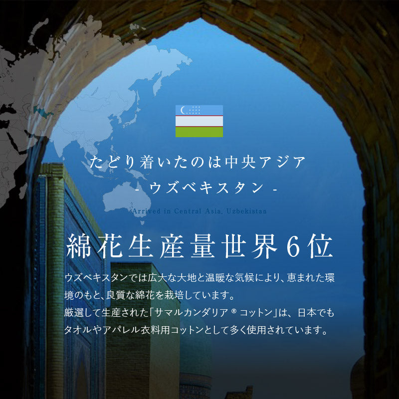 オーガニックコットンラグ 洗えるラグ サマルカンダリアコットン100％【約130×185cm/185×185cm/185×240cm】【約1.5畳/2畳/3畳】ウズベキスタン 長綿 綿100％ 日本製 タフトラグ ループパイル 抗菌 無地 ナチュラルインテリア オールシーズン 春夏秋冬用