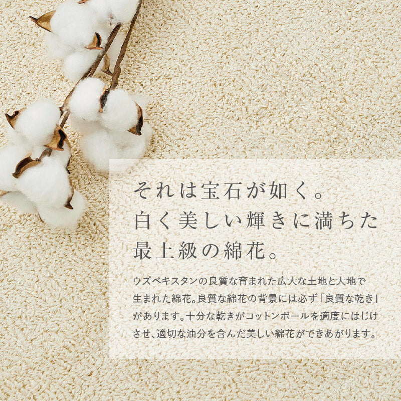 オーガニックコットンラグ 洗えるラグ 【130×185cm/185×185cm/185