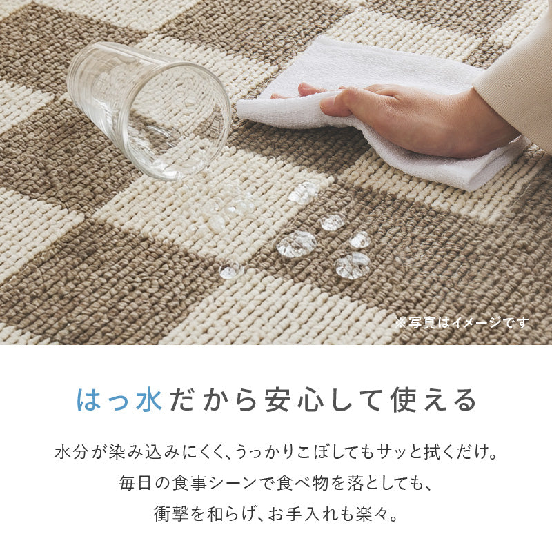 【新商品】[3サイズ] ダイニングラグ 抗菌 防ダニ 撥水 日本製 モニカ