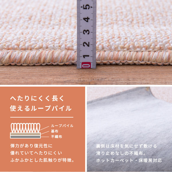 カーペット 防炎 はっ水 防ダニ 抗菌 [176×261][江戸間3畳] PS-700