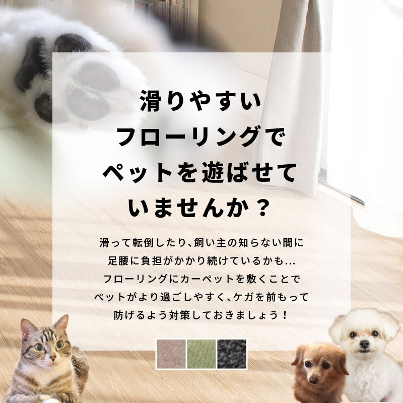 カーペット ペット 絨毯【1畳・2畳・3畳・4畳・4.5畳・6畳・8畳・10畳