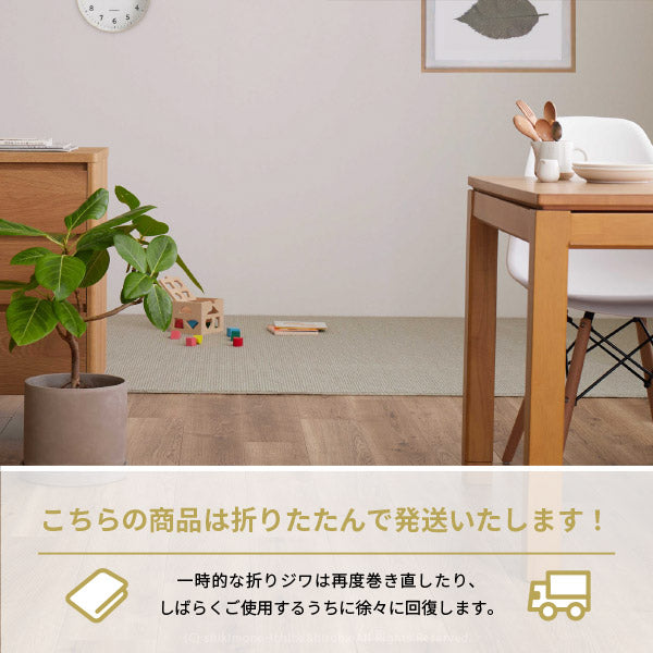 カーペット 防ダニ 防音 約261×352cm【江戸間6畳】6帖 抗菌 防臭 防