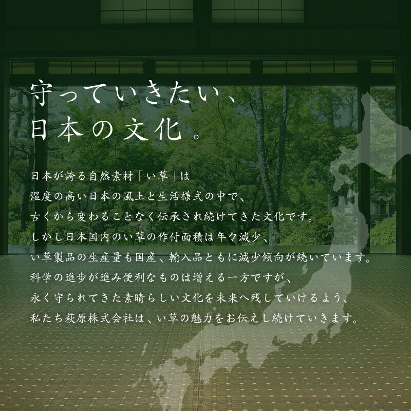 日本製 い草 玄関マット オリエンタル 【 約60×90cm/約30×120cm/約70×120cm 】国産 大判 大きめ い草マット 井草 イグサ いぐさ 春夏秋冬用