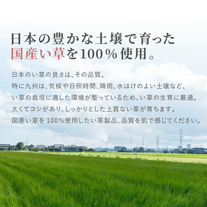 日本製 い草 玄関マット エルモード 【 約60×90cm〜約87×180cm 】国産 大判 大きめ ラグマット い草ラグ い草マット 井草 イグサ いぐさ 春夏秋冬用