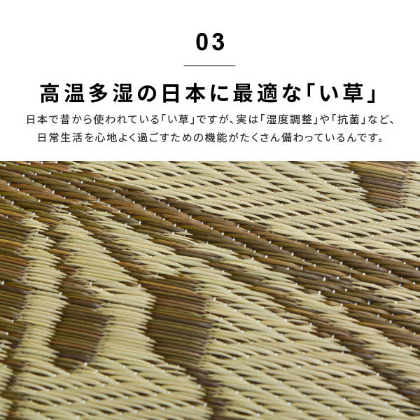 い草ラグ コンパクトラグ フェアリー 約230×230cm 【約3畳】 【裏貼有】 ブルー ブラウン 洋風柄 花柄 ポップ 折りたためるラグ 井草 イグサ いぐさ 年中 萩原 春夏秋冬 涼しい ひんやり