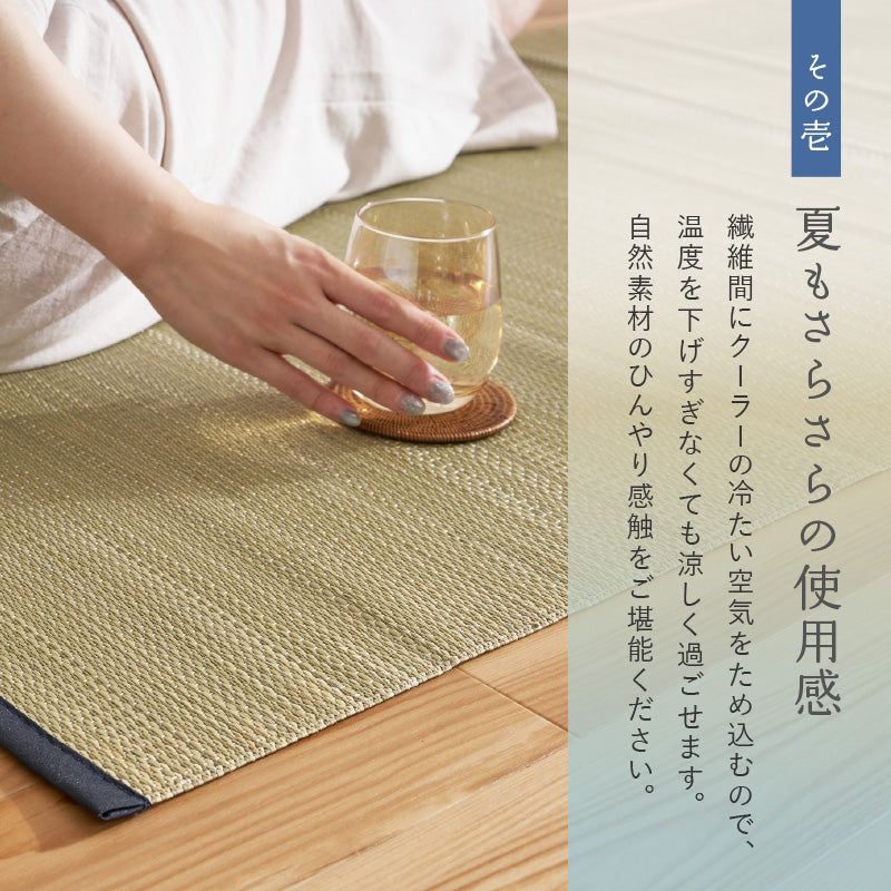 【新商品】[80×170] い草 シーツ 寝ござ 大島（おおしま）