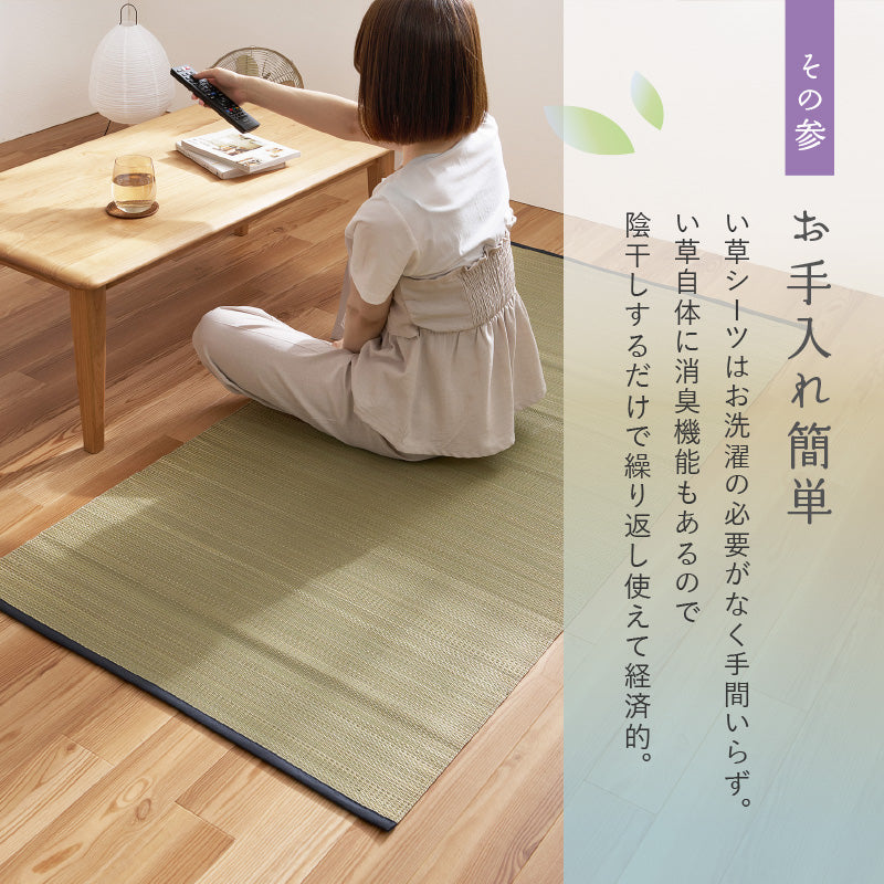 【新商品】[80×170] い草 シーツ 寝ござ 大島（おおしま）