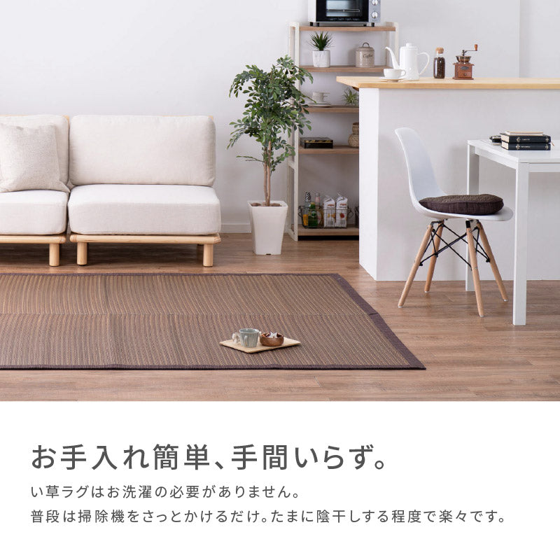 い草ラグ 【裏貼有】 抗菌 防臭 ブラウン ネイビーブルー アジアン 和