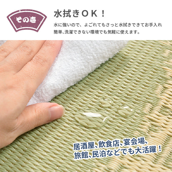 [55×55] 水拭きできるい草風座布団 和モダン 円相（えんそう）
