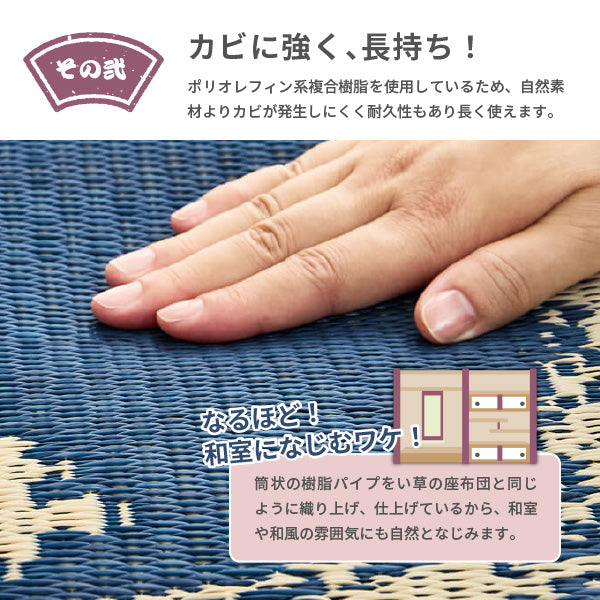 [55×55] 水拭きできるい草風座布団 和モダン 円相（えんそう）