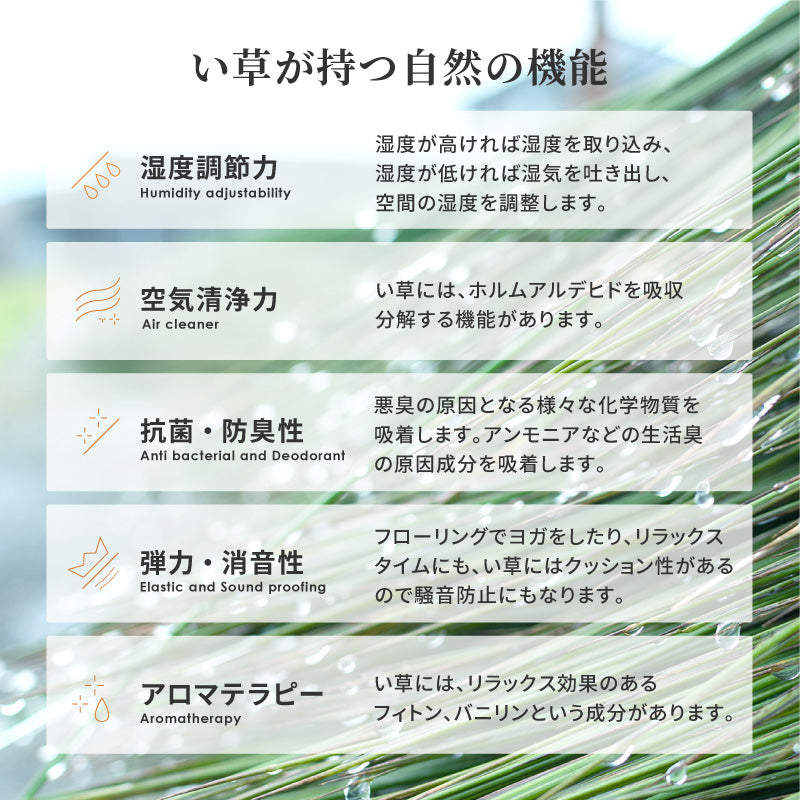 [5サイズ] い草ラグ 花柄 日本製 エンペラー