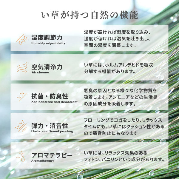 国産 い草ラグ 栄山  約191×250cm【約3畳】 本間3帖 抗菌 防臭ござ い草カーペット ラグマット センターラグ アクセントラグ おしゃれ 井草 年中 萩原 春夏秋冬 涼しい ひんやり