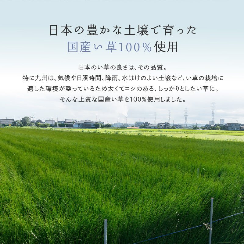 [3サイズ][裏貼り/裏無し] い草ラグ グラデーション 滑り止め付き 日本製 せとのとシリーズ 凪（なぎ）