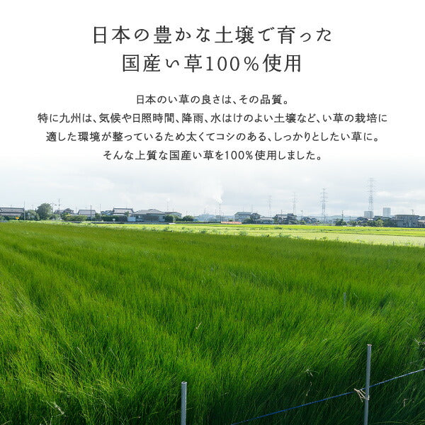 い草ラグ おしゃれ 国産 凪 （なぎ） 約191×250cm 【3畳】 【裏貼り】 せとのとシリーズ イ草 ござ カーペット 日本製 グラデーション ブルー ブラウン 正方形 袋織 三重織 純国産 滑り止め付き イグサ いぐさ 井草 年中 萩原 春夏秋冬 涼しい ひんやり