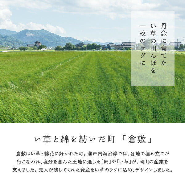 い草ラグ おしゃれ 国産 倉ノ戸 （くらのと） 191×191cm 【2.5畳】 【裏貼り】 せとのとシリーズ イ草 ござ カーペット 2畳 日本製 市松模様 ブルー ベージュ 正方形 袋織 三重織 純国産 滑り止め付き イグサ いぐさ 井草 年中 萩原 春夏秋冬 涼しい ひんやり