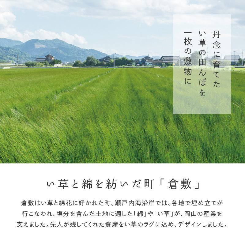 [3サイズ][裏貼り/裏無し] い草ラグ 市松柄 滑り止め付き 日本製 せとのとシリーズ 倉ノ戸（くらのと）