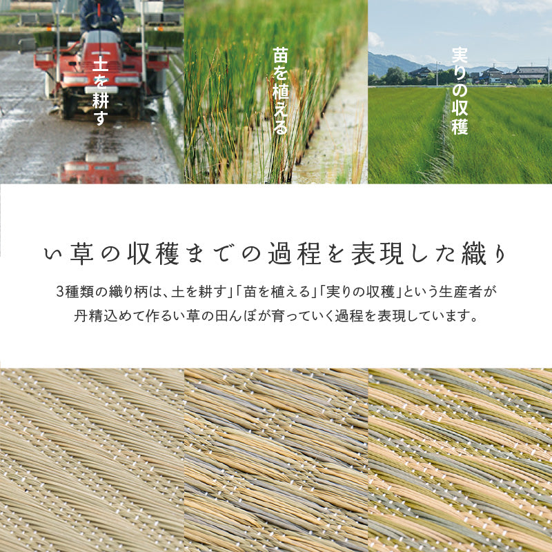 [3サイズ][裏貼り/裏無し] い草ラグ 市松柄 滑り止め付き 日本製 せとのとシリーズ 倉ノ戸（くらのと）