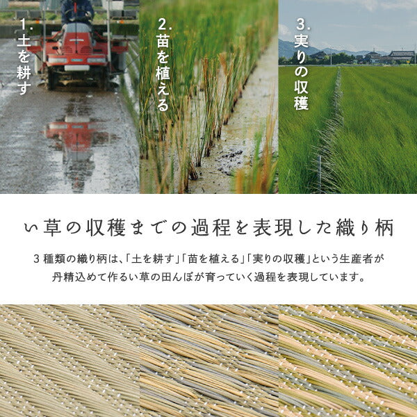 い草ラグ おしゃれ 国産 倉ノ戸 （くらのと） 約191×250cm 【3畳】 【裏貼り】 せとのとシリーズ イ草 ござ カーペット 日本製 市松模様 ブルー ベージュ 正方形 袋織 三重織 純国産 滑り止め付き イグサ いぐさ 井草 年中 萩原 春夏秋冬 涼しい ひんやり