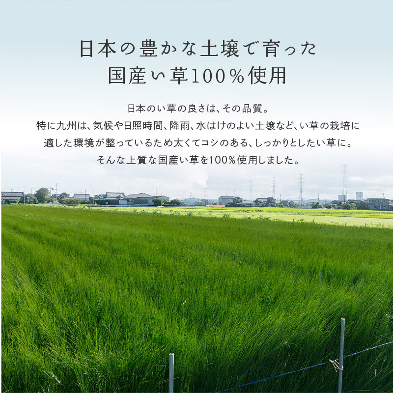 い草カーペット おしゃれ 国産 倉ノ戸 （くらのと） 【2畳･3畳･4.5畳･6畳･8畳】【江戸間･本間】帖 せとのとシリーズ イ草 ござ カーペット日本製 市松模様 畳の上に敷くもの 袋織 三重織 純国産 イグサ いぐさ 井草 春夏秋冬用