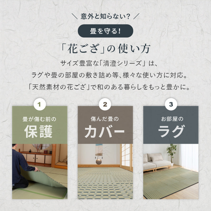 【新商品】[江戸間/本間][1～8畳] い草柄上敷き い草カーペット 市松柄 清澄（せいちょう）