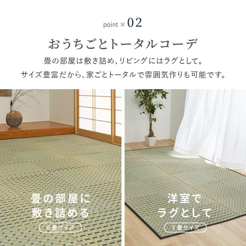 【新商品】[江戸間/本間][1～8畳] い草柄上敷き い草カーペット 市松柄 清澄（せいちょう）