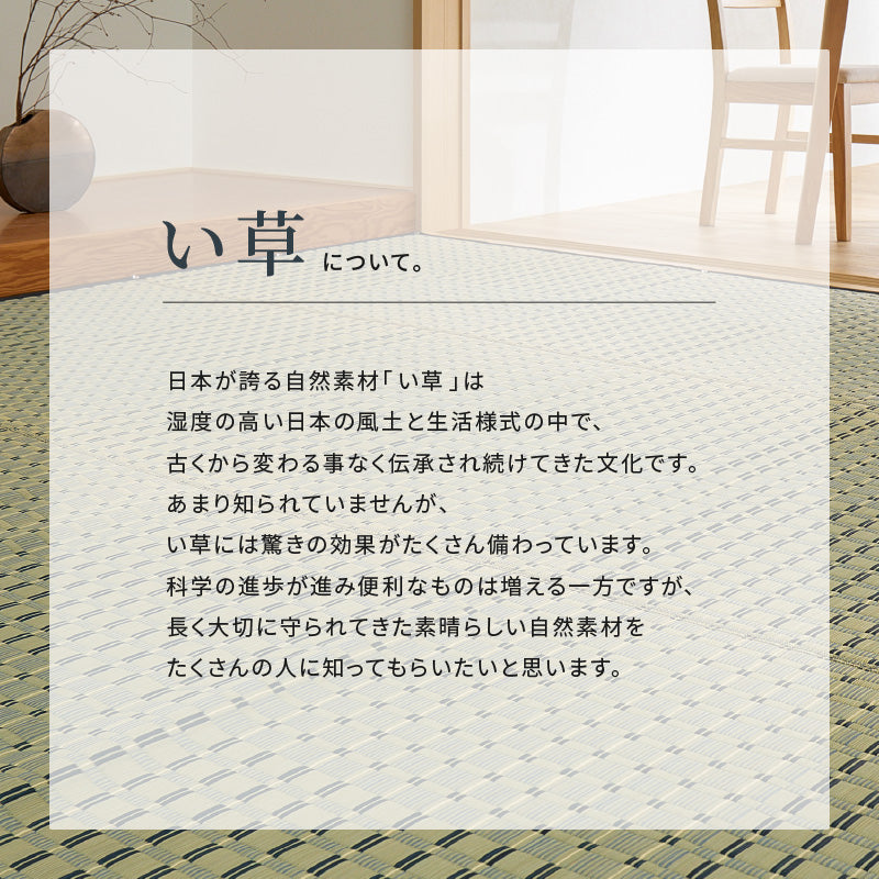 【新商品】[江戸間/本間][1～8畳] い草柄上敷き い草カーペット 市松柄 清澄（せいちょう）