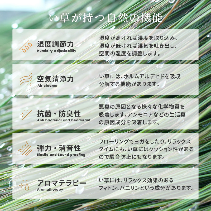 【新商品】[江戸間/本間][1～8畳] い草柄上敷き い草カーペット 市松柄 清澄（せいちょう）