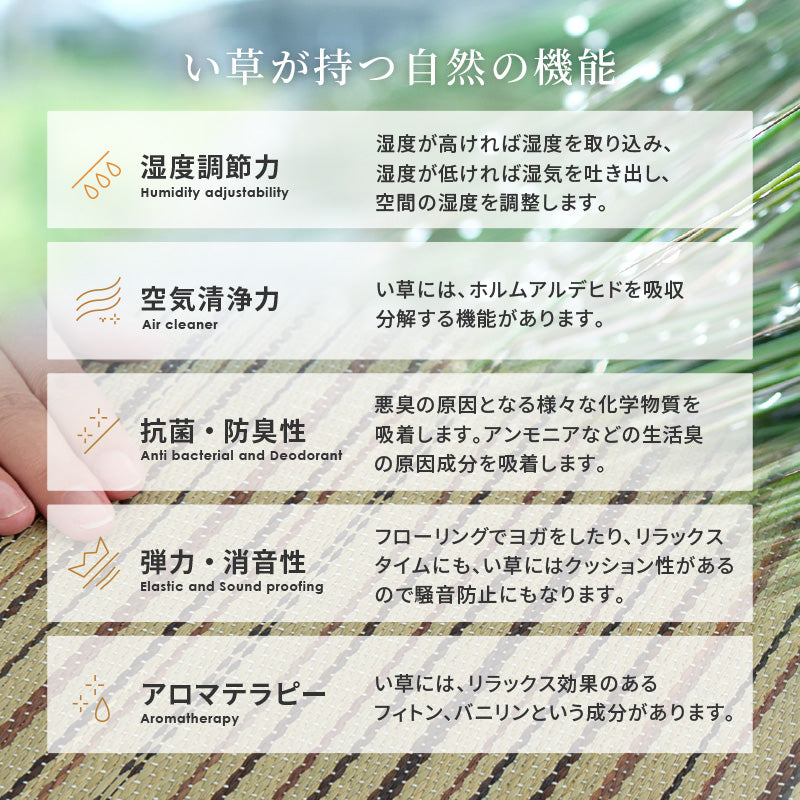 【新商品】[江戸間][2～8畳] い草柄上敷き い草カーペット モダン 涼み