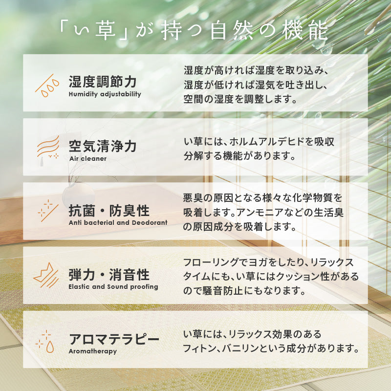 【新商品】[4サイズ][裏貼り] い草ラグ 市松模様 晴市松（はれいちまつ）