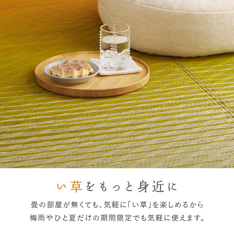 【新商品】[2サイズ][裏貼り] い草ラグ グラデーション 彩風（いろかぜ）