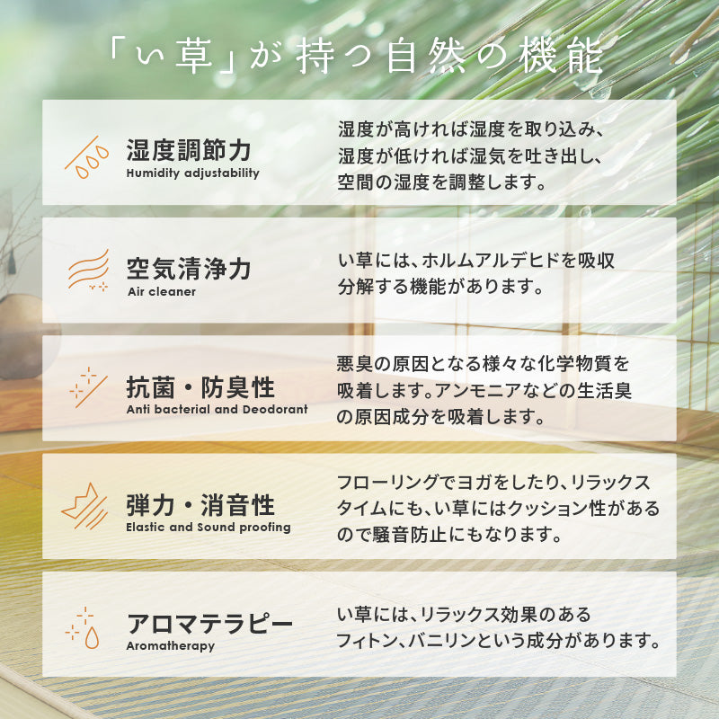 【新商品】[2サイズ][裏貼り] い草ラグ グラデーション 彩風（いろかぜ）