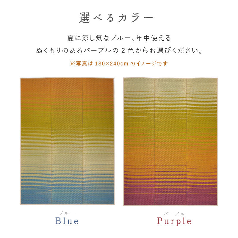 い草ラグ 180×240cm グラデーション 裏貼り 夏用ラグ パープル い草ラグ 夏用ラグ 夏 ラグ 涼しい グラデーション 彩風 いろかぜ 【裏