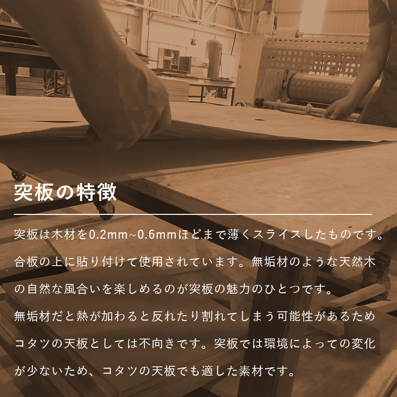 [幅110][単品/セット] 長方形こたつ ALK+POKA