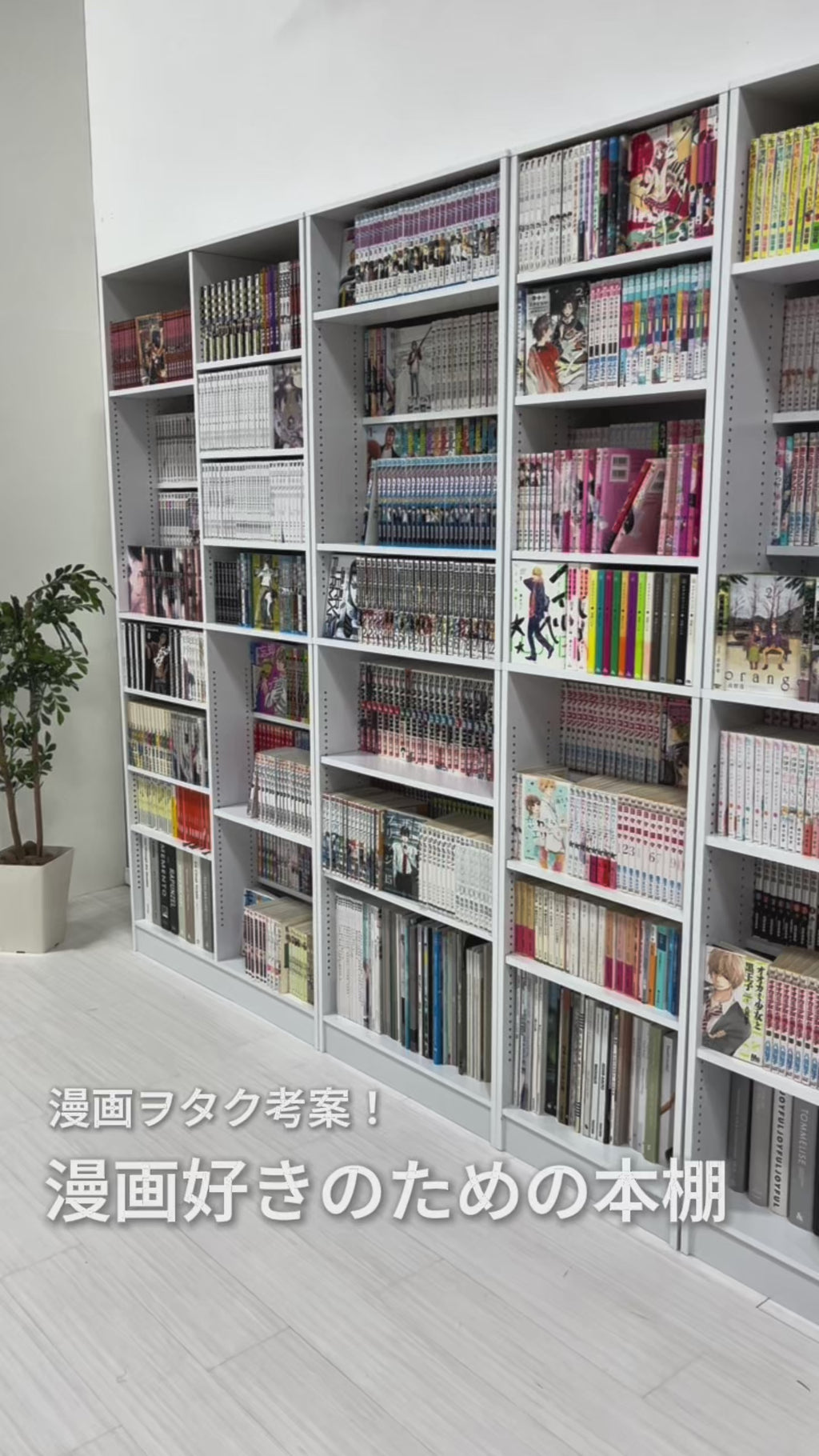 漫画好きのための大容量本棚 [幅30/44.5/59.5/90] LIGHT | おしゃれな