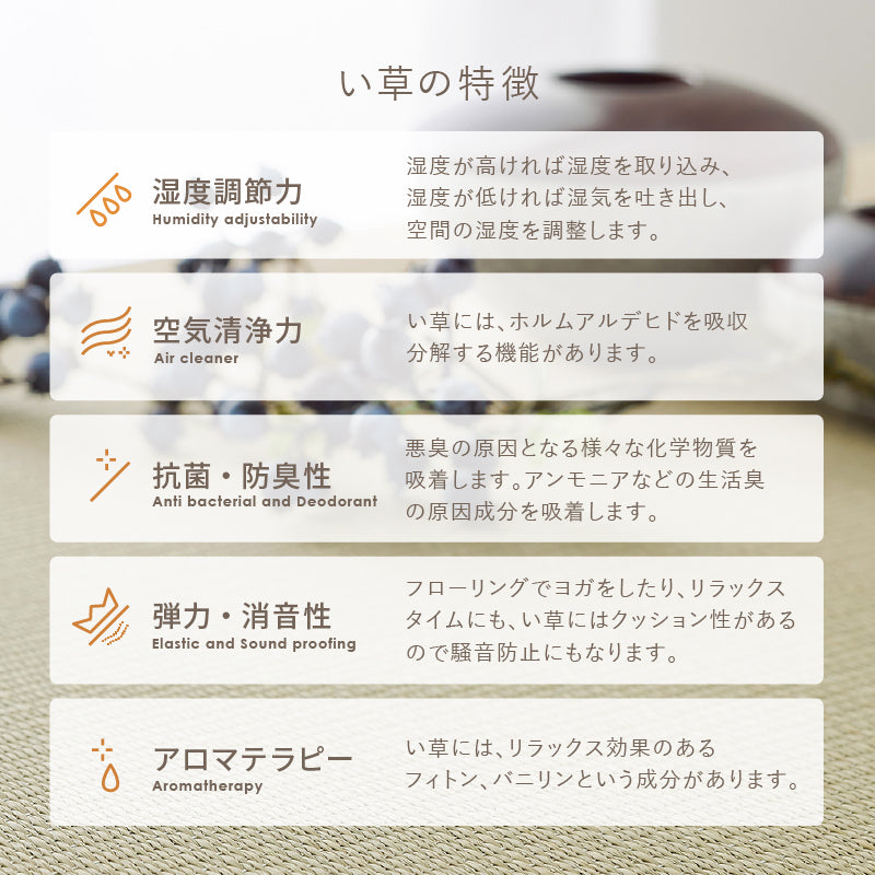 [4サイズ] 収納付き 小上がり畳 タタミ座