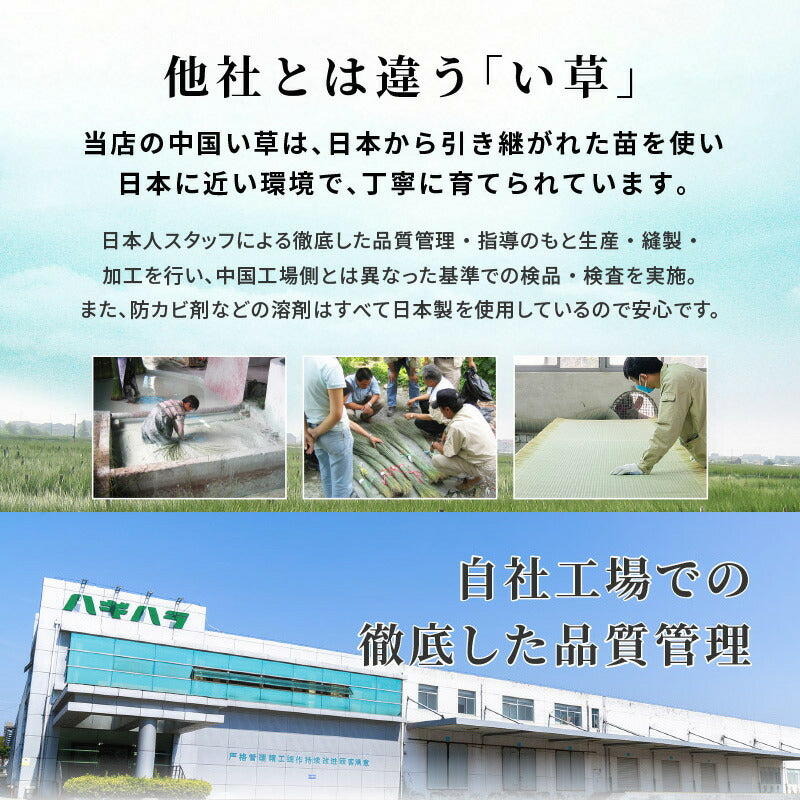 【新商品】[幅60/120] 替え畳単品  （対応シリーズ：タタミ座）