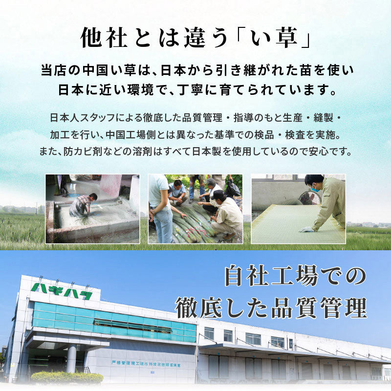 【新商品】[S/SD/D] 収納付き畳ベッド