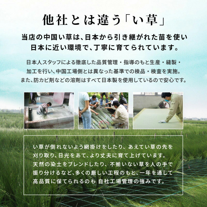 【新商品】[シングル] 3分で組立できるすのこベッド 畳マットレスセット コンセント付き NEJILESS